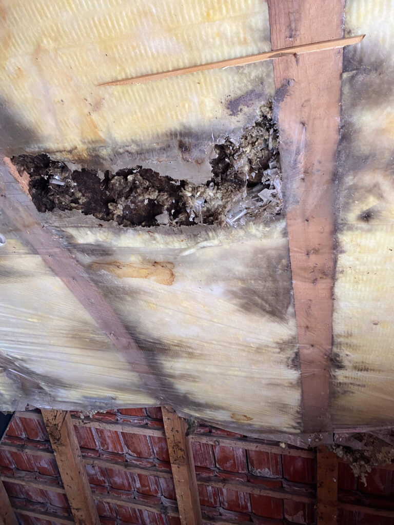 The Impact of Poor Insulation on HVAC Performance